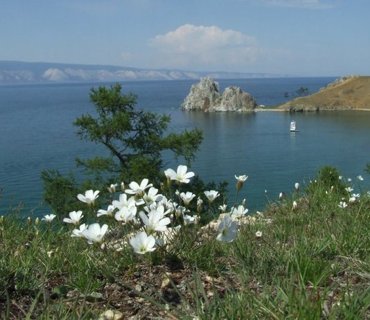 26 ФЗ о природных лечебных ресурсах в последней редакции